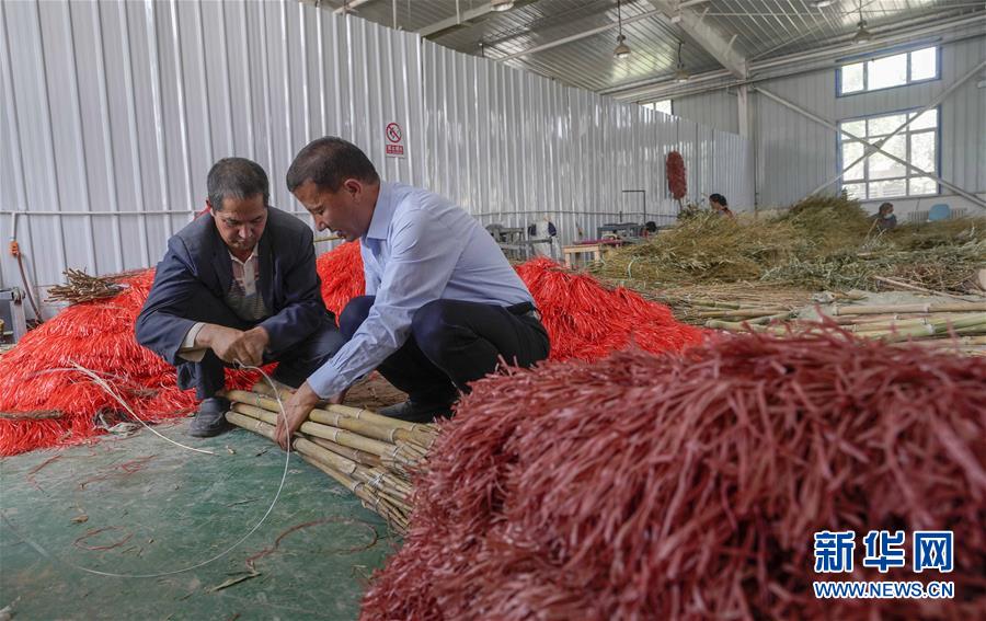 (決戰(zhàn)決勝脫貧攻堅·圖文互動)(6)“掃”出脫貧路:南疆深貧村巧變“創(chuàng)業(yè)村”