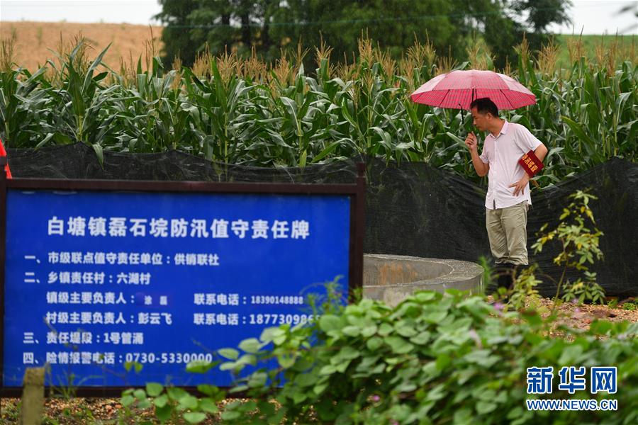 （防汛抗洪&middot;圖文互動(dòng)）（1）&ldquo;險(xiǎn)情不可怕，可怕的是不能及時(shí)發(fā)現(xiàn)險(xiǎn)情&rdquo;&mdash;&mdash;洞庭湖巡堤查險(xiǎn)現(xiàn)場直擊