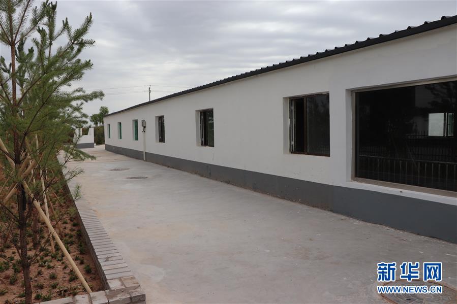 (鄉(xiāng)村振興·圖文互動)(2)內(nèi)蒙古伊金霍洛旗:自家生豬基地養(yǎng) 環(huán)境好來收入旺