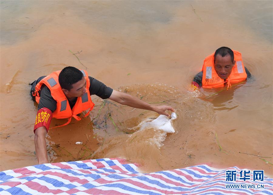 (防汛抗洪·圖文互動)(2)抗洪長堤上的“三件寶”