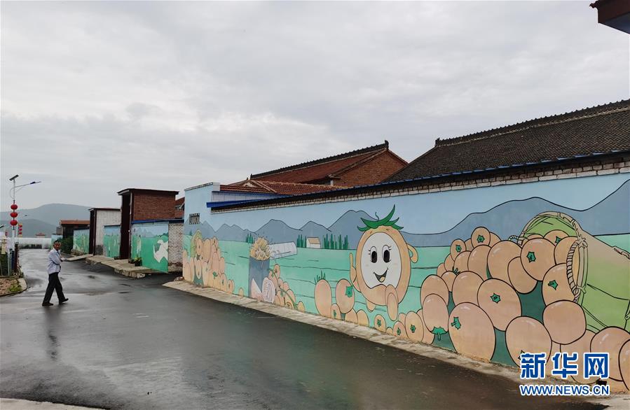 （決戰(zhàn)決勝脫貧攻堅(jiān)&middot;圖文互動）（1）西紅柿小鎮(zhèn)的&ldquo;致富經(jīng)&rdquo;