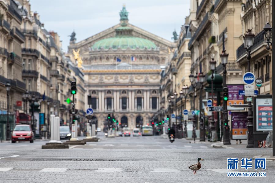 （國際&middot;圖文互動）（4）特稿：穿越寒暑 無問西東&mdash;&mdash;寫在新冠疫情構(gòu)成&ldquo;國際關注的突發(fā)公共衛(wèi)生事件&rdquo;半年之際