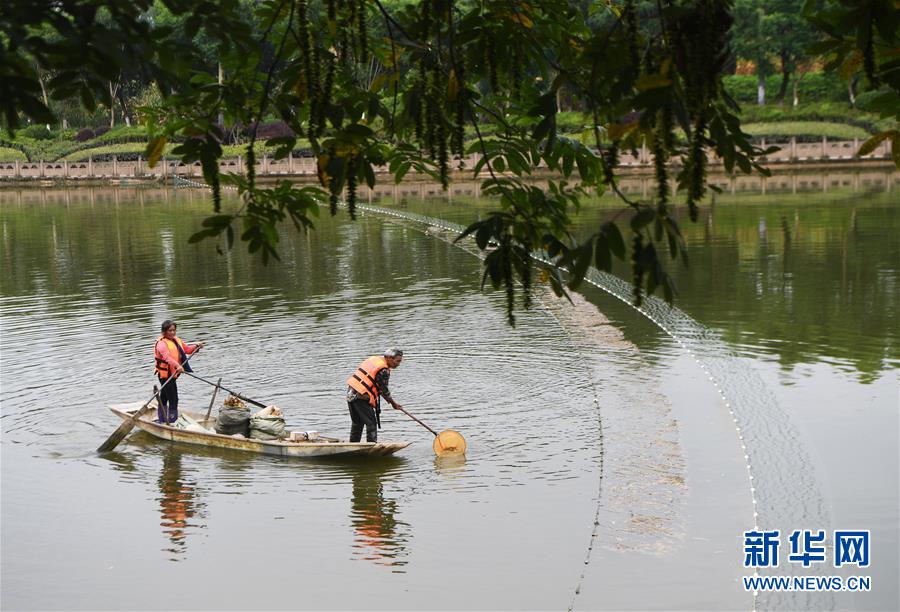 (長江經(jīng)濟(jì)帶·圖文互動)(3)李代國再下河