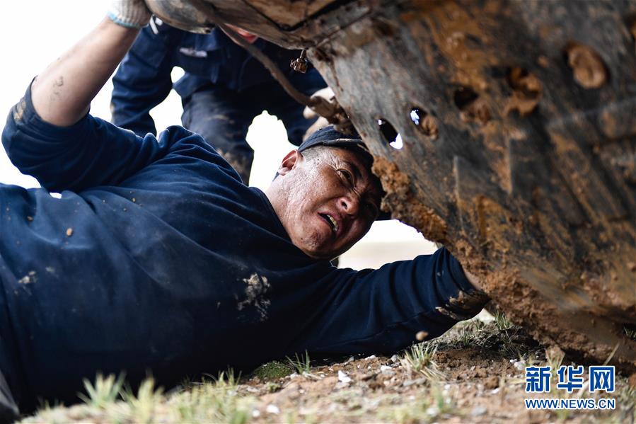 （圖文互動）（1）記者手記：可可西里，“挪”向“藏羚羊大產(chǎn)房”的14個半小時