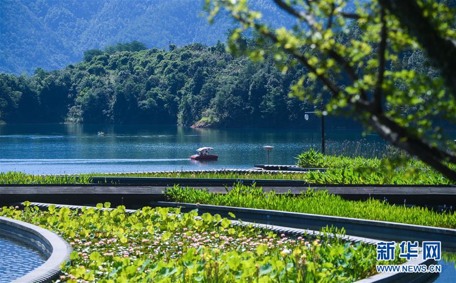 (新華全媒頭條·圖文互動(dòng))(8)生態(tài)文明之光照耀美麗中國(guó)——寫(xiě)在綠水青山就是金山銀山理念提出15周年之際