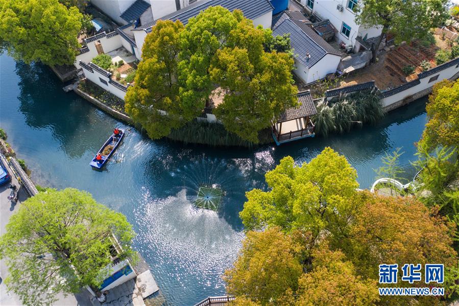 (新華全媒頭條·圖文互動(dòng))(12)生態(tài)文明之光照耀美麗中國(guó)——寫(xiě)在綠水青山就是金山銀山理念提出15周年之際