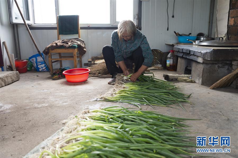 (決戰(zhàn)決勝脫貧攻堅(jiān)·圖文互動(dòng))(4)老張的菜園