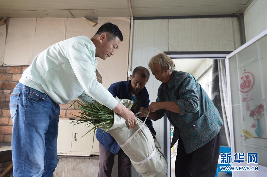 (決戰(zhàn)決勝脫貧攻堅(jiān)·圖文互動(dòng))(5)老張的菜園