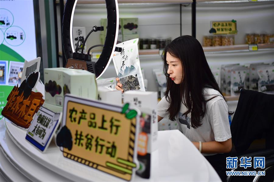 （走向我們的小康生活·圖文互動(dòng)）（3）綠了青山，紅了日子——秦巴山區(qū)群眾繪出小康“調(diào)色板”