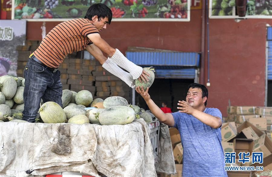 （決戰(zhàn)決勝脫貧攻堅(jiān)&middot;圖文互動）（2）&ldquo;窮&rdquo;鄉(xiāng)富戶的販瓜生意經(jīng)