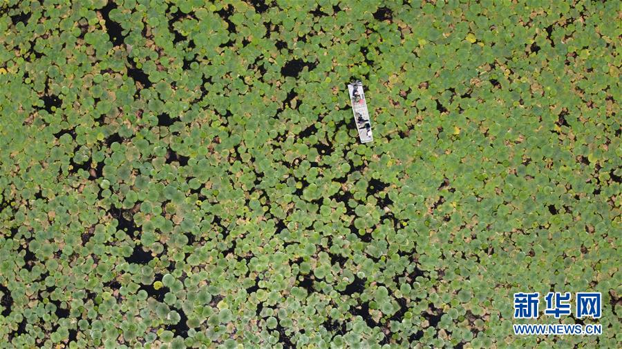 (在習近平新時代中國特色社會主義思想指引下——新時代新作為新篇章·習近平總書記關切事·圖文互動)(12)一切為了人民——寫在全國防汛救災取得階段性重大勝利之時