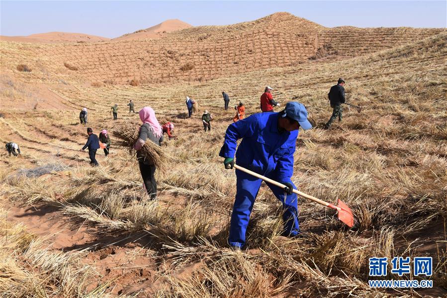 （新華全媒頭條&middot;走向我們的小康生活&middot;圖文互動(dòng)）（6）&ldquo;苦甲&rdquo;不再，&ldquo;甘味&rdquo;綿長(zhǎng)&mdash;&mdash;脫貧攻堅(jiān)的甘肅味道