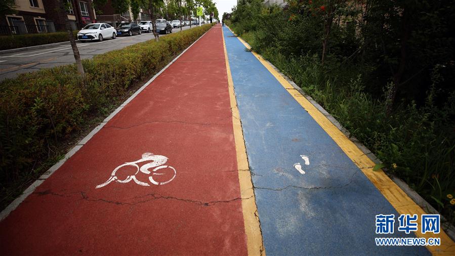 （圖文互動）（9）長白山60年書寫&ldquo;生態(tài)答卷&rdquo;