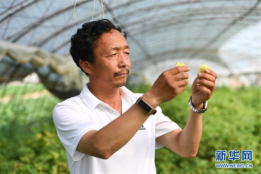 （新華全媒頭條·走向我們的小康生活·圖文互動）（7）黑土地上是我家——在吉林，一瞥中國東北鄉(xiāng)村美麗未來