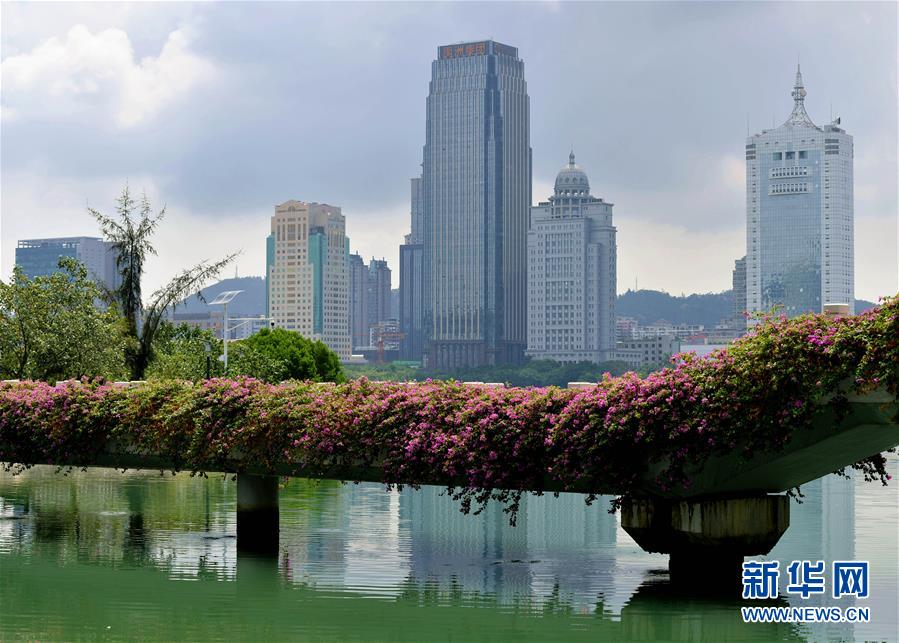 （特區(qū)40年?圖文互動）（7）廈庇五洲客 門納萬頃濤——廈門經(jīng)濟(jì)特區(qū)40年發(fā)展紀(jì)實(shí)