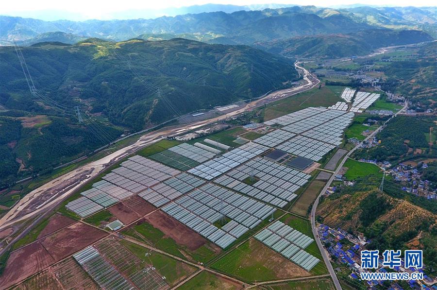 （走向我們的小康生活&middot;決戰(zhàn)決勝脫貧攻堅(jiān)&middot;圖文互動(dòng)）（2）把產(chǎn)業(yè)興盛之&ldquo;根&rdquo;扎進(jìn)大涼山