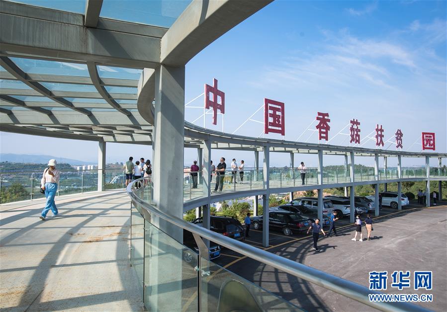 （新華全媒頭條&middot;走向我們的小康生活&middot;圖文互動）（2）特殊之年，荊楚大地書寫不平凡的答卷