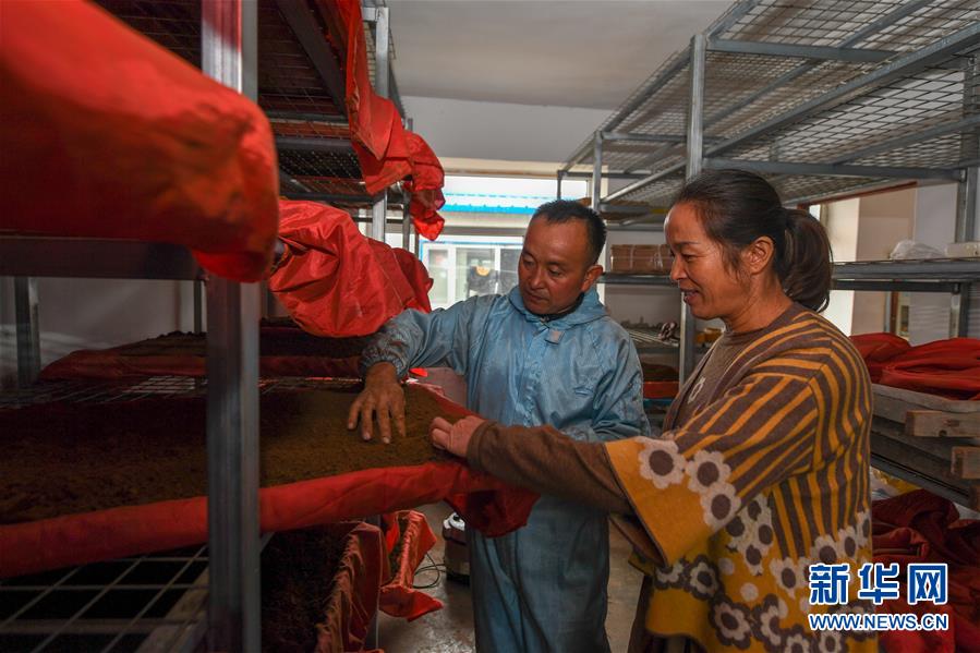 （決戰(zhàn)決勝脫貧攻堅(jiān)&middot;圖文互動）（5）從&ldquo;因殘致貧&rdquo;到&ldquo;帶頭脫貧&rdquo;&mdash;&mdash;吉林靖宇有這樣一位&ldquo;脫貧英雄&rdquo;