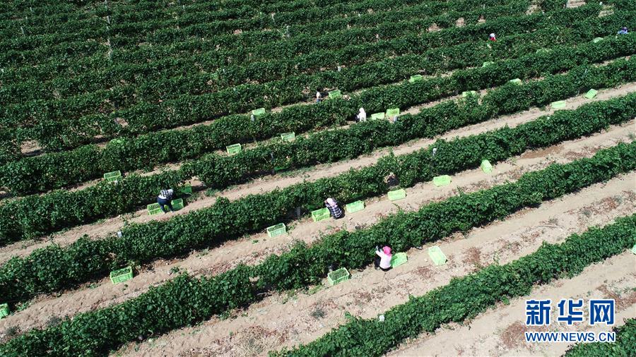 （新華全媒頭條&middot;百萬大移民&middot;圖文互動）（8）從大山深處到大河之畔&mdash;&mdash;寧夏持續(xù)移民百萬&ldquo;拔窮根&rdquo;啟示