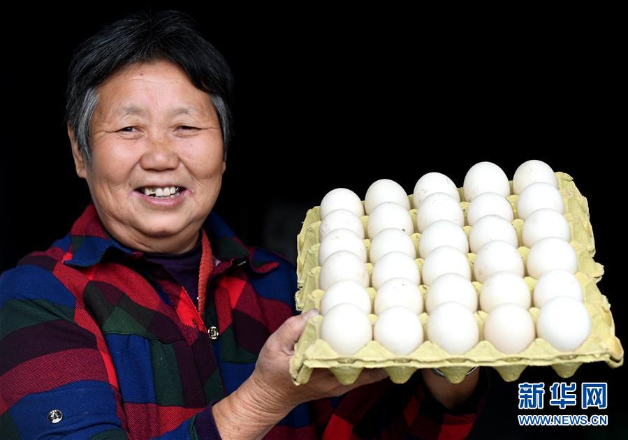 (決戰(zhàn)決勝脫貧攻堅(jiān)·圖文互動(dòng))(3)17代人追逐的夢(mèng)想實(shí)現(xiàn)了——記冀南平原劉秋口村變遷