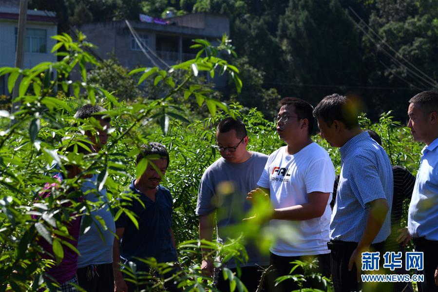 （決戰(zhàn)決勝脫貧攻堅(jiān)&middot;圖文互動(dòng)）（3）&ldquo;堵槍眼&rdquo;的脫貧戰(zhàn)怎么打？&mdash;&mdash;繼光村見聞
