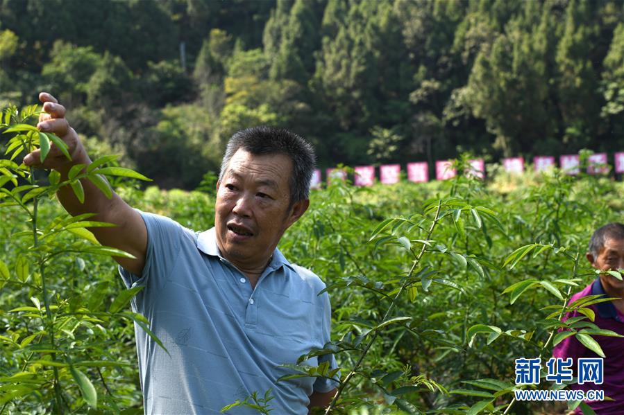 （決戰(zhàn)決勝脫貧攻堅(jiān)&middot;圖文互動(dòng)）（4）&ldquo;堵槍眼&rdquo;的脫貧戰(zhàn)怎么打？&mdash;&mdash;繼光村見聞