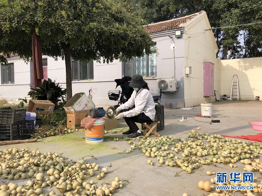 (圖文互動)(1)“葫蘆村”的“生意經(jīng)”