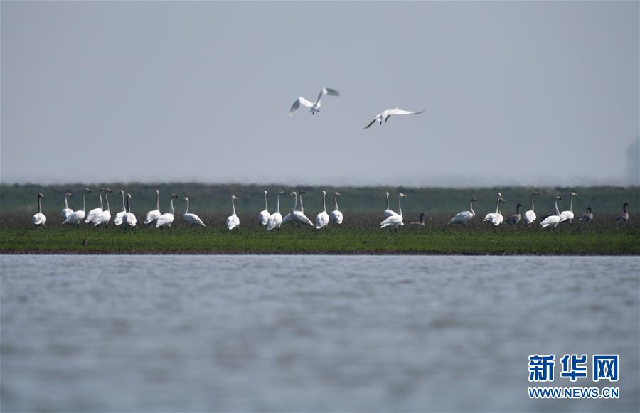 (新華全媒頭條·圖文互動)(11)潮起東方萬象新——以習(xí)近平同志為核心的黨中央團(tuán)結(jié)帶領(lǐng)全黨全軍全國各族人民貫徹落實(shí)黨的十九大精神紀(jì)實(shí)