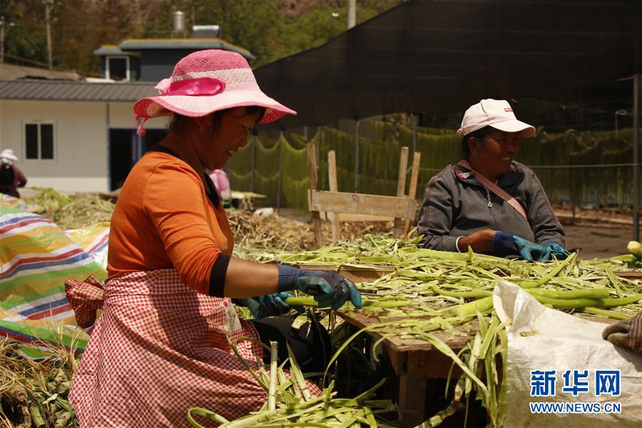 （在習近平新時代中國特色社會主義思想指引下&mdash;&mdash;新時代新作為新篇章&middot;習近平總書記關(guān)切事&middot;圖文互動）（4）啃下最后的硬骨頭&mdash;&mdash;脫貧攻堅掛牌督戰(zhàn)進行時