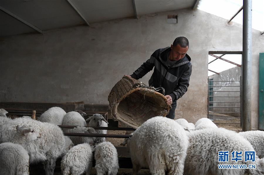 （新華全媒頭條&middot;圖文互動(dòng)）（1）春天里的5個(gè)&ldquo;戰(zhàn)貧&rdquo;瞬間&mdash;&mdash;習(xí)近平總書記關(guān)于脫貧攻堅(jiān)決策部署指引攻克最后的深貧堡壘