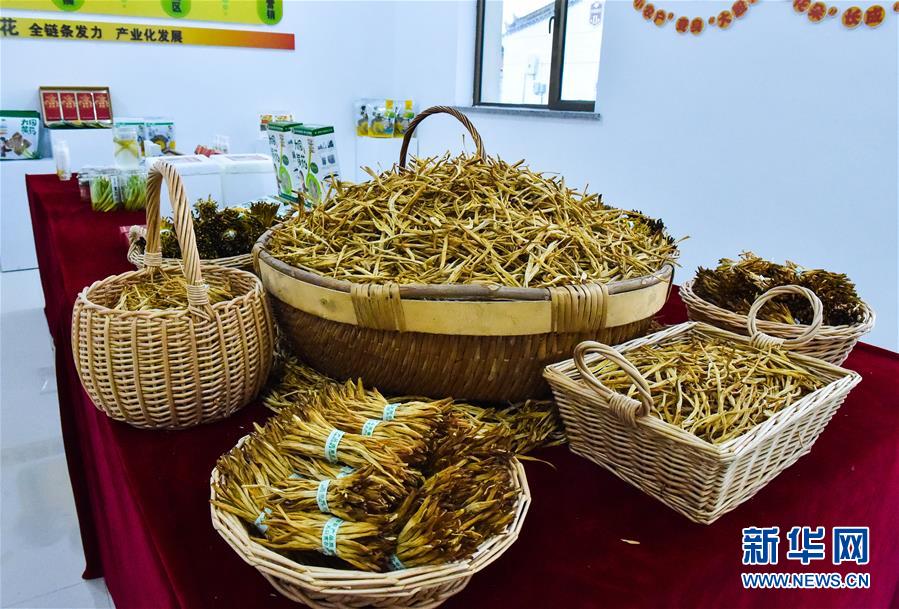 （新華全媒頭條&middot;圖文互動）（3）初夏，循著總書記的腳步探訪產(chǎn)業(yè)扶貧新事