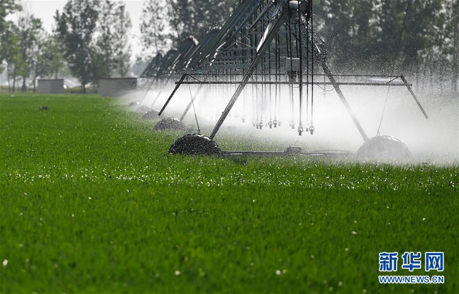 （在習(xí)近平新時(shí)代中國特色社會主義思想指引下&mdash;&mdash;新時(shí)代新作為新篇章&middot;習(xí)近平總書記關(guān)切事&middot;圖文互動(dòng)）（3）新農(nóng)事、新希望&mdash;&mdash;夏收前田間新動(dòng)態(tài)掃描