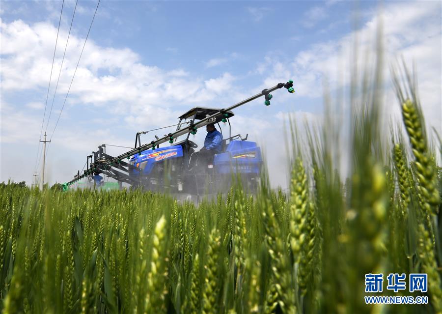（在習(xí)近平新時(shí)代中國特色社會主義思想指引下&mdash;&mdash;新時(shí)代新作為新篇章&middot;習(xí)近平總書記關(guān)切事&middot;圖文互動(dòng)）（7）新農(nóng)事、新希望&mdash;&mdash;夏收前田間新動(dòng)態(tài)掃描
