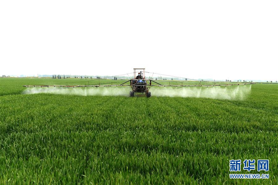 （在習(xí)近平新時(shí)代中國特色社會主義思想指引下&mdash;&mdash;新時(shí)代新作為新篇章&middot;習(xí)近平總書記關(guān)切事&middot;圖文互動(dòng)）（10）新農(nóng)事、新希望&mdash;&mdash;夏收前田間新動(dòng)態(tài)掃描