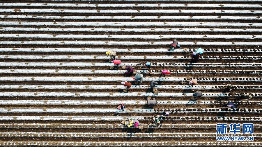 (在習(xí)近平新時代中國特色社會主義思想指引下——新時代新作為新篇章·習(xí)近平總書記關(guān)切事·圖文互動)(2)讓每一寸耕地都成為豐收的沃土——我國加強(qiáng)耕地保護(hù)推進(jìn)“藏糧于地”