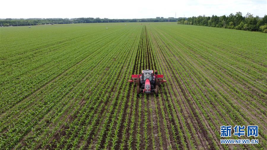 (在習(xí)近平新時代中國特色社會主義思想指引下——新時代新作為新篇章·習(xí)近平總書記關(guān)切事·圖文互動)(5)讓每一寸耕地都成為豐收的沃土——我國加強(qiáng)耕地保護(hù)推進(jìn)“藏糧于地”
