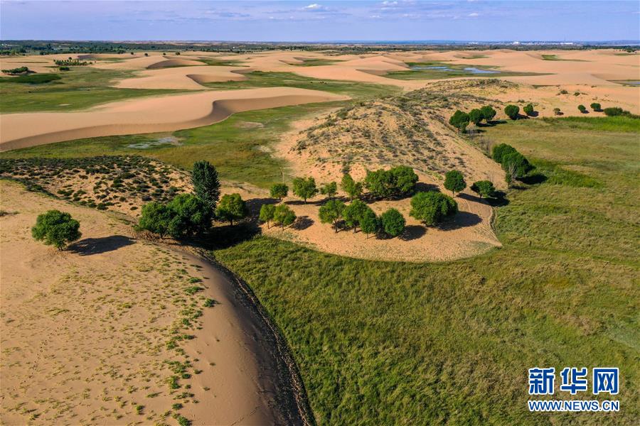 （在習近平新時代中國特色社會主義思想指引下&mdash;&mdash;新時代新作為新篇章&middot;習近平總書記關切事&middot;圖文互動）（10）綠意，在黃沙中鋪展&mdash;&mdash;我國防沙治沙紀實