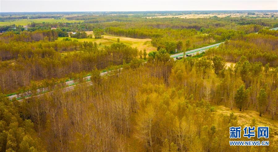（在習近平新時代中國特色社會主義思想指引下&mdash;&mdash;新時代新作為新篇章&middot;習近平總書記關切事&middot;圖文互動）（3）綠意，在黃沙中鋪展&mdash;&mdash;我國防沙治沙紀實