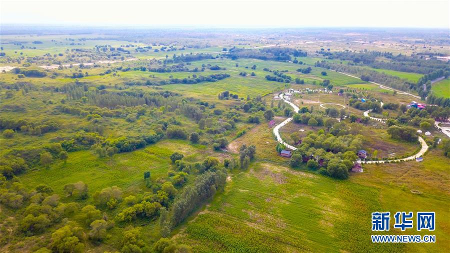 （在習近平新時代中國特色社會主義思想指引下&mdash;&mdash;新時代新作為新篇章&middot;習近平總書記關切事&middot;圖文互動）（1）綠意，在黃沙中鋪展&mdash;&mdash;我國防沙治沙紀實