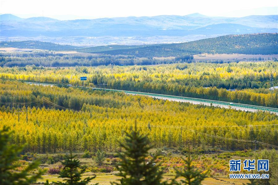 （在習近平新時代中國特色社會主義思想指引下&mdash;&mdash;新時代新作為新篇章&middot;習近平總書記關切事&middot;圖文互動）（7）綠意，在黃沙中鋪展&mdash;&mdash;我國防沙治沙紀實