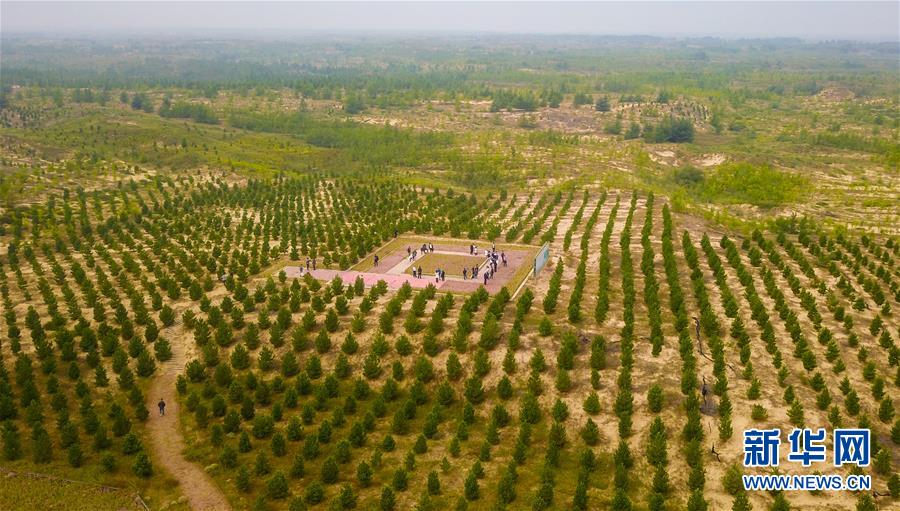 （在習近平新時代中國特色社會主義思想指引下&mdash;&mdash;新時代新作為新篇章&middot;習近平總書記關切事&middot;圖文互動）（2）綠意，在黃沙中鋪展&mdash;&mdash;我國防沙治沙紀實