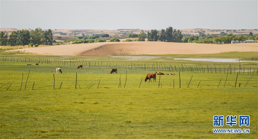 （在習近平新時代中國特色社會主義思想指引下&mdash;&mdash;新時代新作為新篇章&middot;習近平總書記關切事&middot;圖文互動）（9）綠意，在黃沙中鋪展&mdash;&mdash;我國防沙治沙紀實