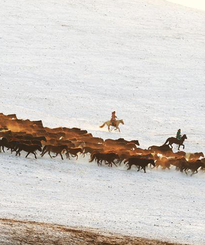 中國(guó)馬都—錫林郭勒2017冰雪那達(dá)慕