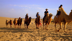 &ldquo;塞上明珠&rdquo;寧夏沙湖吸引游客