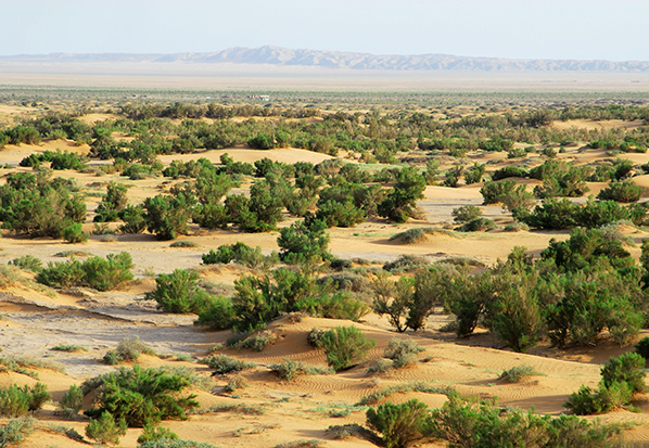 【長篇通訊】塞罕壩，京城綠色屏障的前世今生