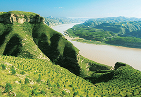 張建龍：&ldquo;三北工程&rdquo;實現生態(tài)、經濟、社會效益&ldquo;多贏&rdquo;