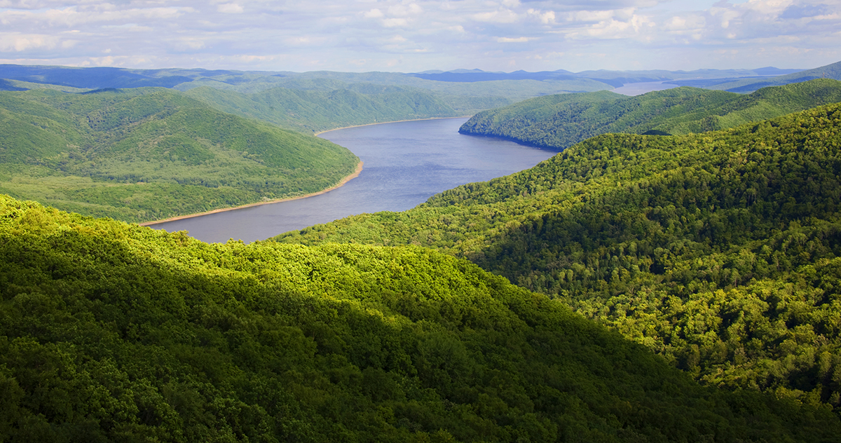 張建龍：&ldquo;三北工程&rdquo;實現生態(tài)、經濟、社會效益&ldquo;多贏&rdquo;