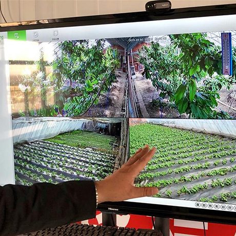 &ldquo;互聯(lián)網+&rdquo;讓村里人過上&ldquo;智慧生活&rdquo;