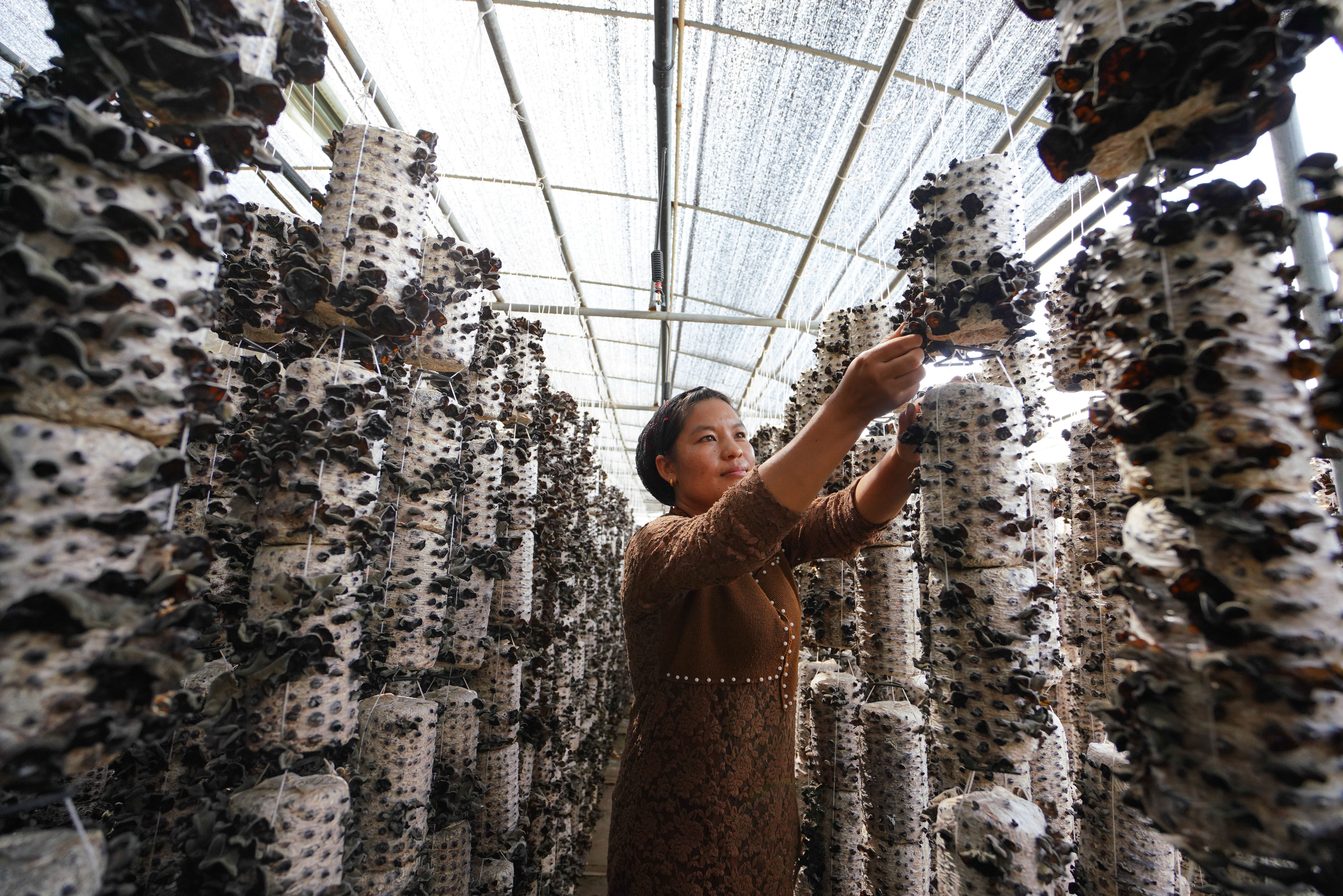 以沖刺的狀態(tài)跑出決勝的姿態(tài)&mdash;&mdash;&ldquo;三區(qū)三州&rdquo;甘肅深貧區(qū)脫貧攻堅(jiān)報(bào)告