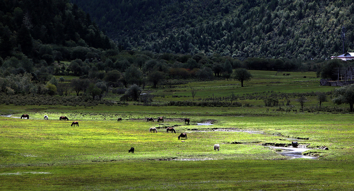 云南&ldquo;三江并流&rdquo;地區(qū)決戰(zhàn)精準(zhǔn)脫貧的&ldquo;生態(tài)畫(huà)卷&rdquo;